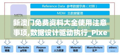 新澳门免费资料大全使用注意事项,数据设计驱动执行_Pixel11.158