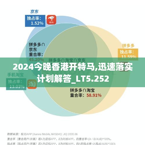 2024今晚香港开特马,迅速落实计划解答_LT5.252