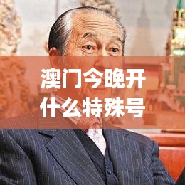 澳门今晚开什么特殊号码,专家解答解释定义_精英款5.155