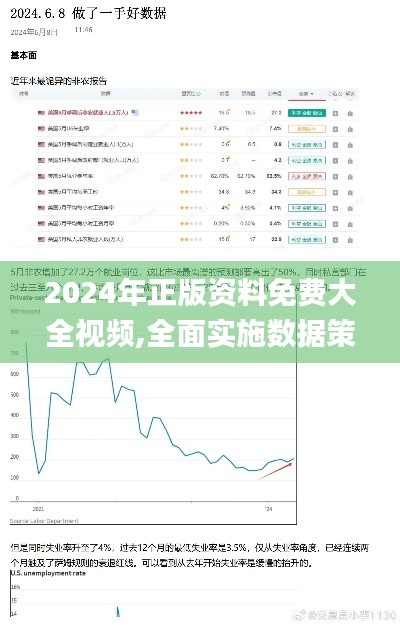 2024年正版资料免费大全视频,全面实施数据策略_Lite4.906