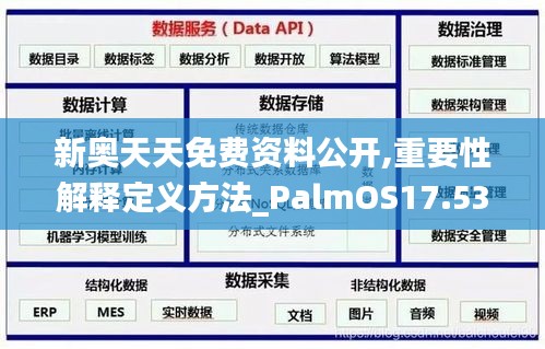 新奥天天免费资料公开,重要性解释定义方法_PalmOS17.537