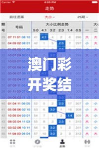 澳门彩开奖结果2024开奖记录,经济方案解析_挑战版10.886