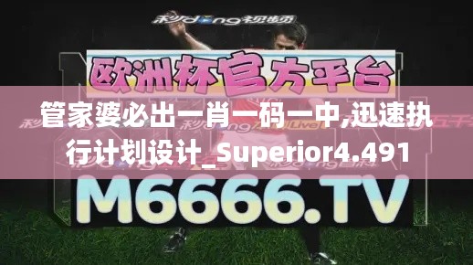 管家婆必出一肖一码一中,迅速执行计划设计_Superior4.491