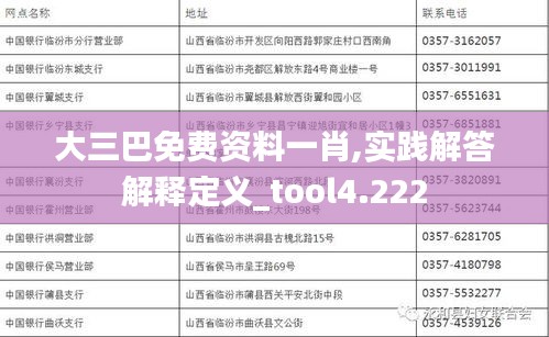 大三巴免费资料一肖,实践解答解释定义_tool4.222