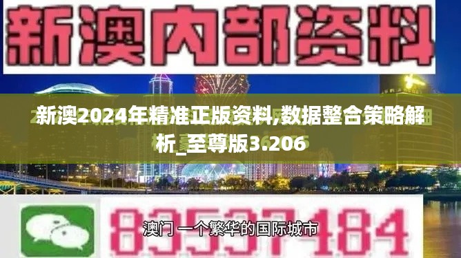 新澳2024年精准正版资料,数据整合策略解析_至尊版3.206