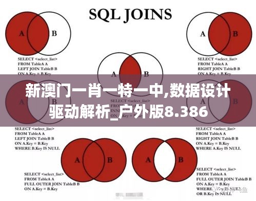 新澳门一肖一特一中,数据设计驱动解析_户外版8.386