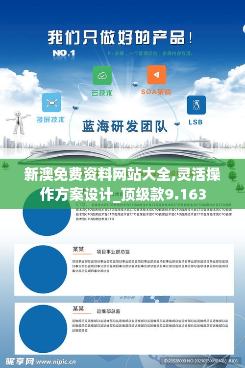 新澳免费资料网站大全,灵活操作方案设计_顶级款9.163