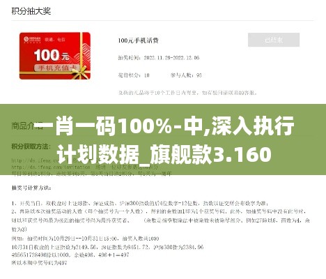 一肖一码100%-中,深入执行计划数据_旗舰款3.160