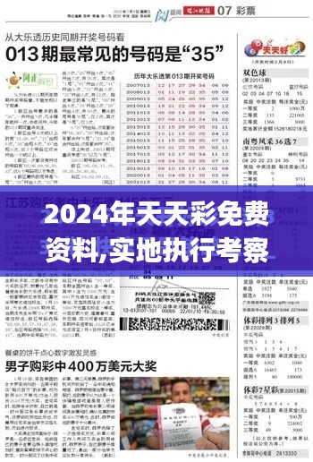 2024年天天彩免费资料,实地执行考察设计_超值版4.140