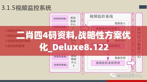 二肖四4码资料,战略性方案优化_Deluxe8.122