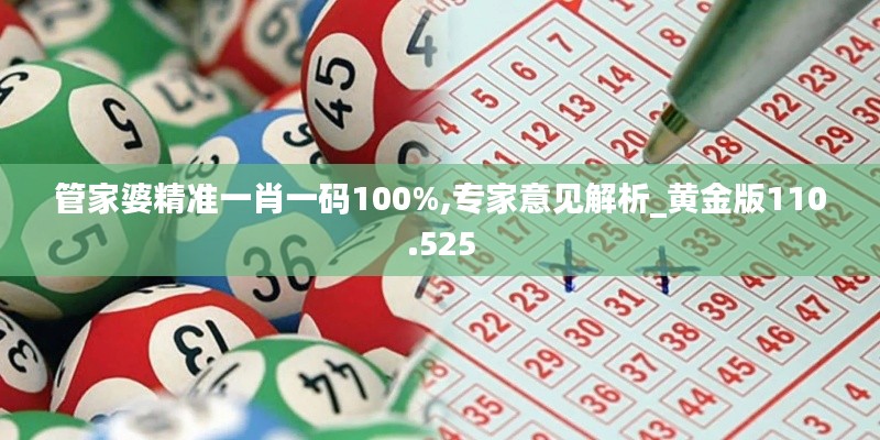 管家婆精准一肖一码100%,专家意见解析_黄金版110.525