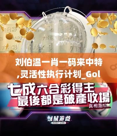 刘伯温一肖一码来中特,灵活性执行计划_Gold4.497