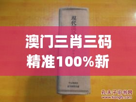 澳门三肖三码精准100%新华字典,数据引导设计策略_特供版2.951