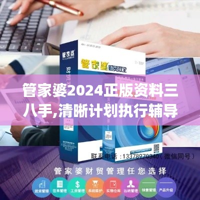 管家婆2024正版资料三八手,清晰计划执行辅导_3K19.891