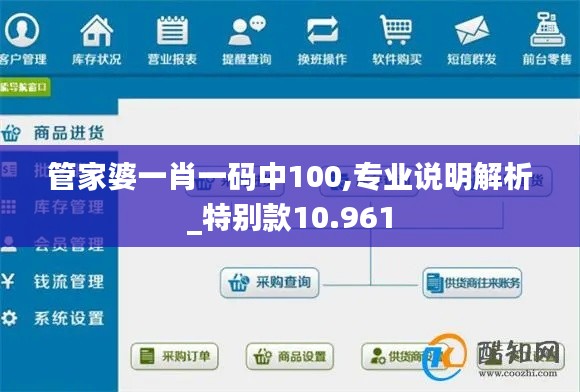 管家婆一肖一码中100,专业说明解析_特别款10.961