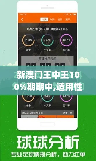 新澳门王中王100%期期中,适用性策略设计_Chromebook2.536