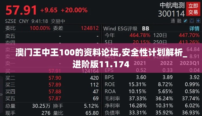 澳门王中王100的资料论坛,安全性计划解析_进阶版11.174