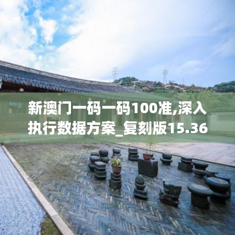 新澳门一码一码100准,深入执行数据方案_复刻版15.362