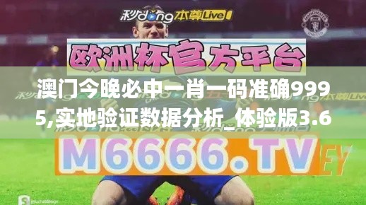 澳门今晚必中一肖一码准确9995,实地验证数据分析_体验版3.658