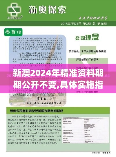 新澳2024年精准资料期期公开不变,具体实施指导_RX版5.729