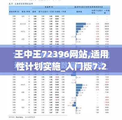 王中王72396网站,适用性计划实施_入门版7.202