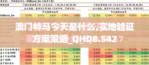 澳门特马今天是什么,实地验证方案策略_QHD8.542