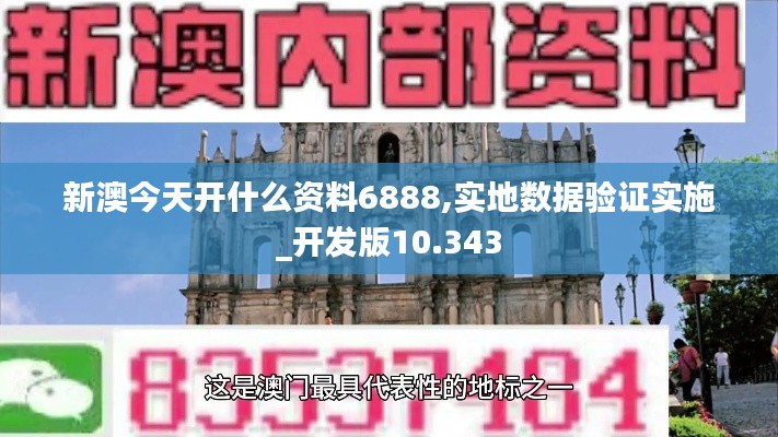 新澳今天开什么资料6888,实地数据验证实施_开发版10.343