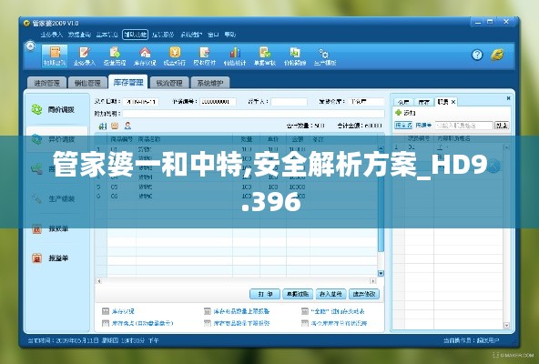 管家婆一和中特,安全解析方案_HD9.396