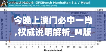 今晚上澳门必中一肖,权威说明解析_M版5.335