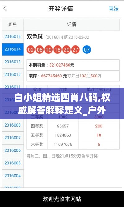 白小姐精选四肖八码,权威解答解释定义_户外版13.547