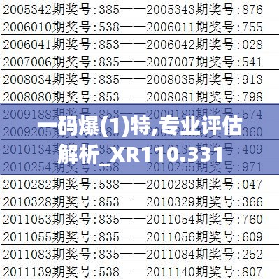 一码爆(1)特,专业评估解析_XR110.331