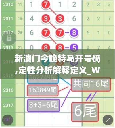 新澳门今晚特马开号码,定性分析解释定义_WP11.430