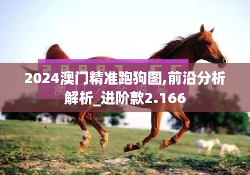 2024澳门精准跑狗图,前沿分析解析_进阶款2.166