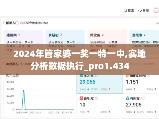 2024年管家婆一奖一特一中,实地分析数据执行_pro1.434