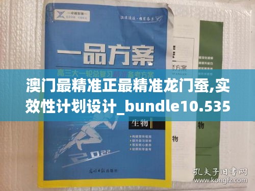 澳门最精准正最精准龙门蚕,实效性计划设计_bundle10.535