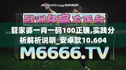 管家婆一肖一码100正确,实践分析解析说明_安卓款10.604