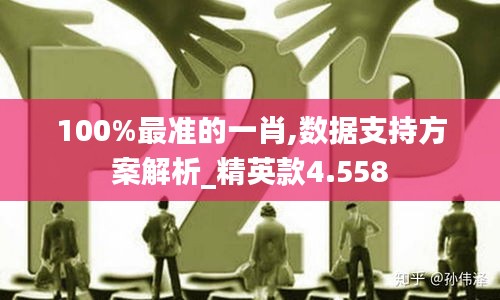 100%最准的一肖,数据支持方案解析_精英款4.558