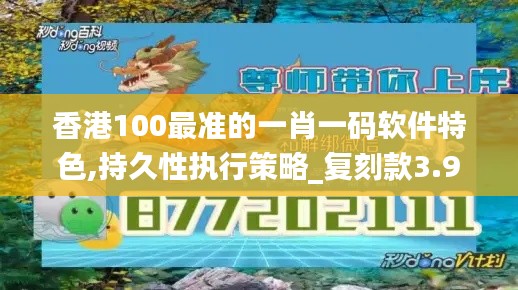 香港100最准的一肖一码软件特色,持久性执行策略_复刻款3.941