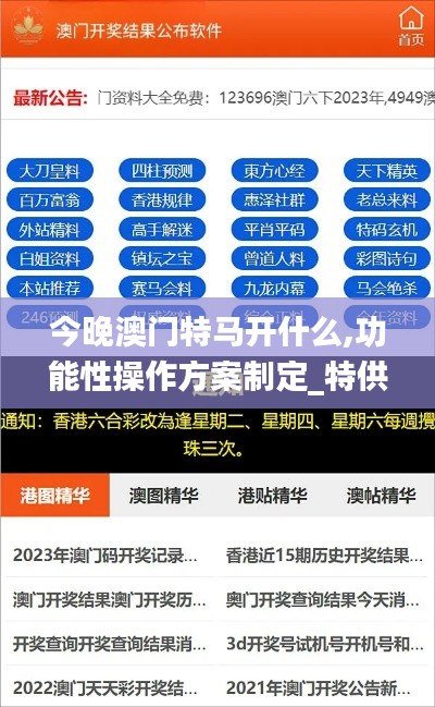 今晚澳门特马开什么,功能性操作方案制定_特供款2.585