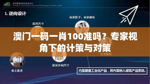 澳门一码一肖100准吗？专家视角下的计策与对策