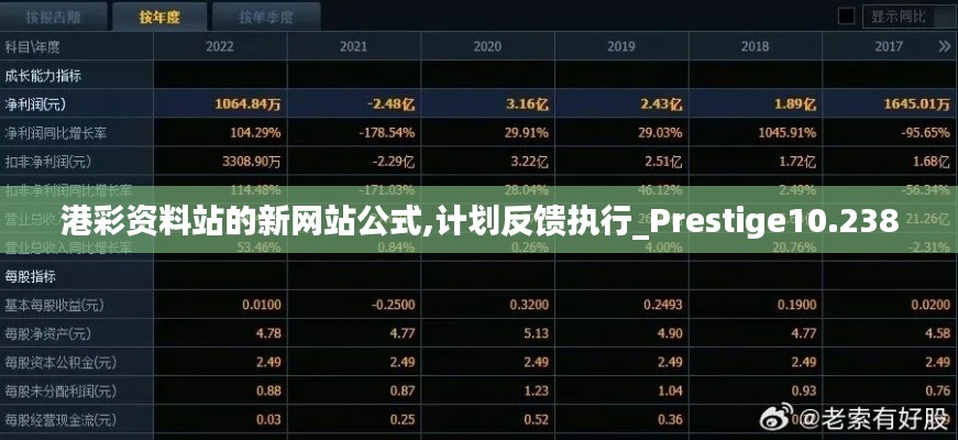 港彩资料站的新网站公式,计划反馈执行_Prestige10.238