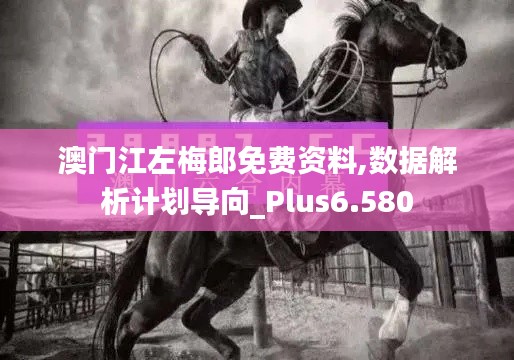 澳门江左梅郎免费资料,数据解析计划导向_Plus6.580