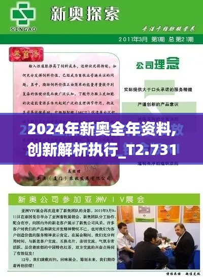 2024年新奥全年资料,创新解析执行_T2.731