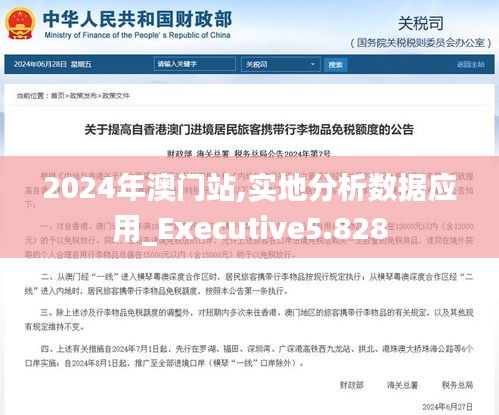 2024年澳门站,实地分析数据应用_Executive5.828