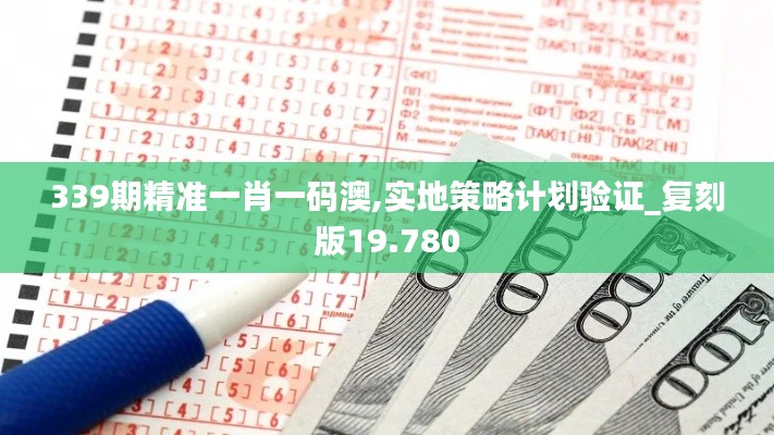 339期精准一肖一码澳,实地策略计划验证_复刻版19.780