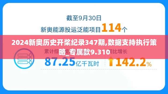 2024新奥历史开桨纪录347期,数据支持执行策略_专属款9.310