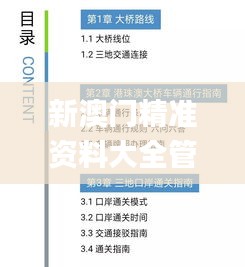 新澳门精准资料大全管家婆料,实地解答解释定义_交互版13.214