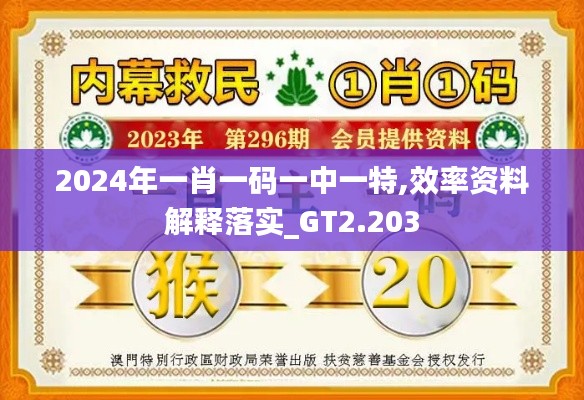 2024年一肖一码一中一特,效率资料解释落实_GT2.203