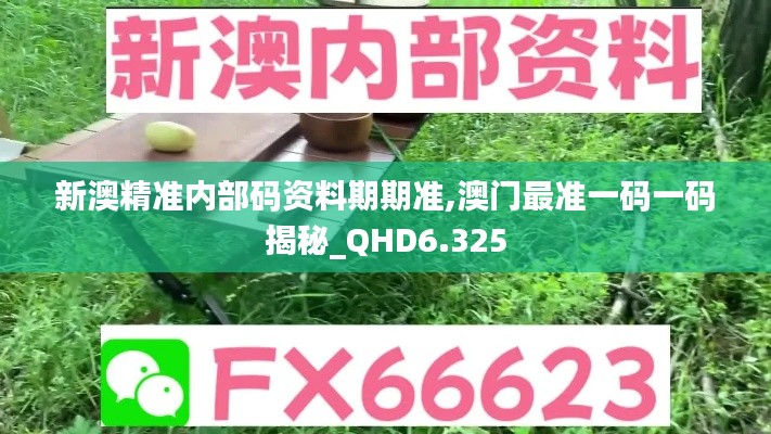 新澳精准内部码资料期期准,澳门最准一码一码揭秘_QHD6.325