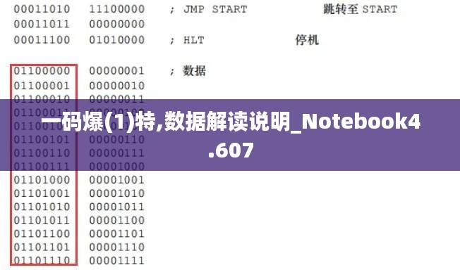 一码爆(1)特,数据解读说明_Notebook4.607